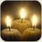 صورة عضوية sofy