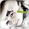 صورة عضوية Shahrazad
