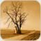 صورة عضوية mh2006