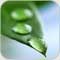 صورة عضوية Genteel Dealer