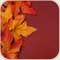 صورة عضوية Ms vip