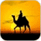 صورة عضوية qais2
